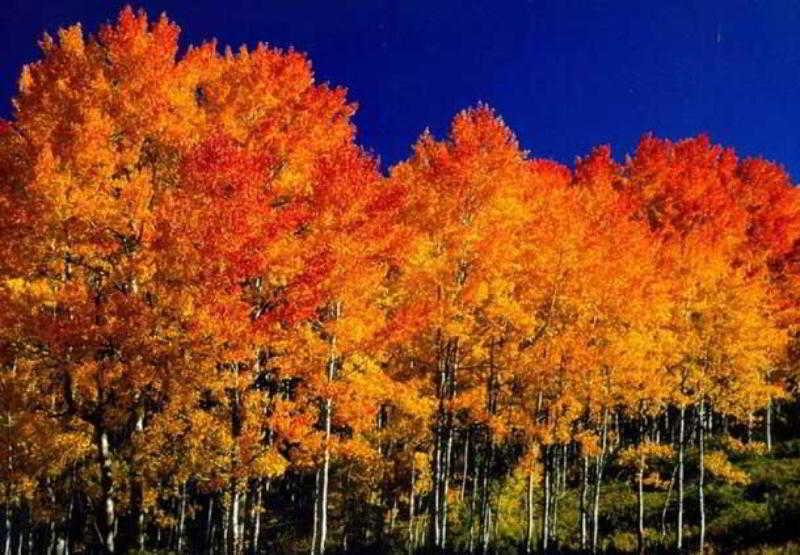 Fairfield Inn And Suites By Marriott Colorado Springs North Air Force Academy Gleneagle Екстер'єр фото