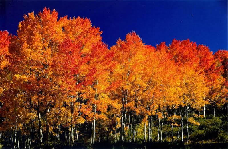 Fairfield Inn And Suites By Marriott Colorado Springs North Air Force Academy Gleneagle Екстер'єр фото